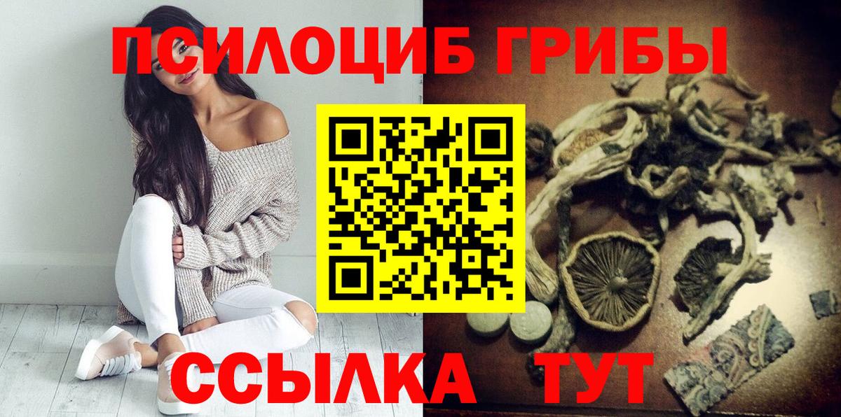 Галлюциногенные грибы Psilocybe Чебоксары