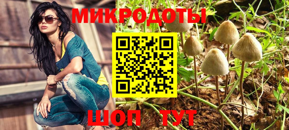 Псилоцибиновые грибы Magic Shrooms  Чебоксары  Галлюциногенные грибы прущие грибы 